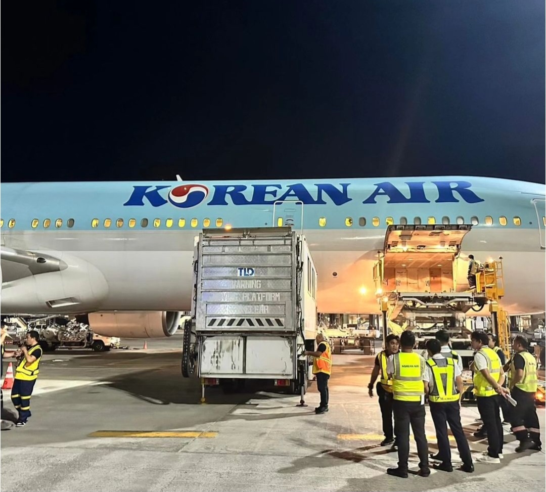 대퇴부 골절 소아환자 이송 (세부 > 수원아주대병원)